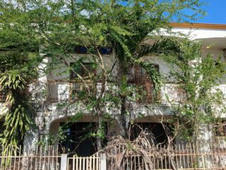 48ea02c0-d0c3-4e00-ad51-bdf44f24beb7-1