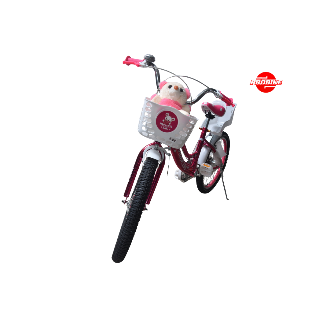 Girl Bike – 20″