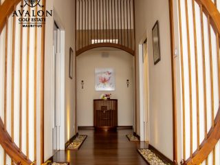 486510060_976385951287924_2525684637979912085_n