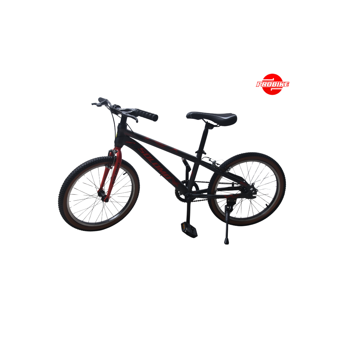 Solomo Bike – 20″