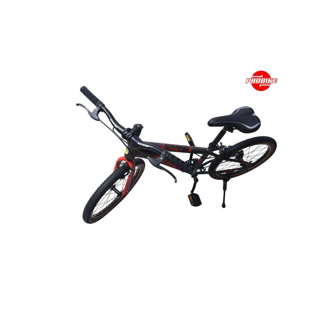 Solomo Bike – 20″