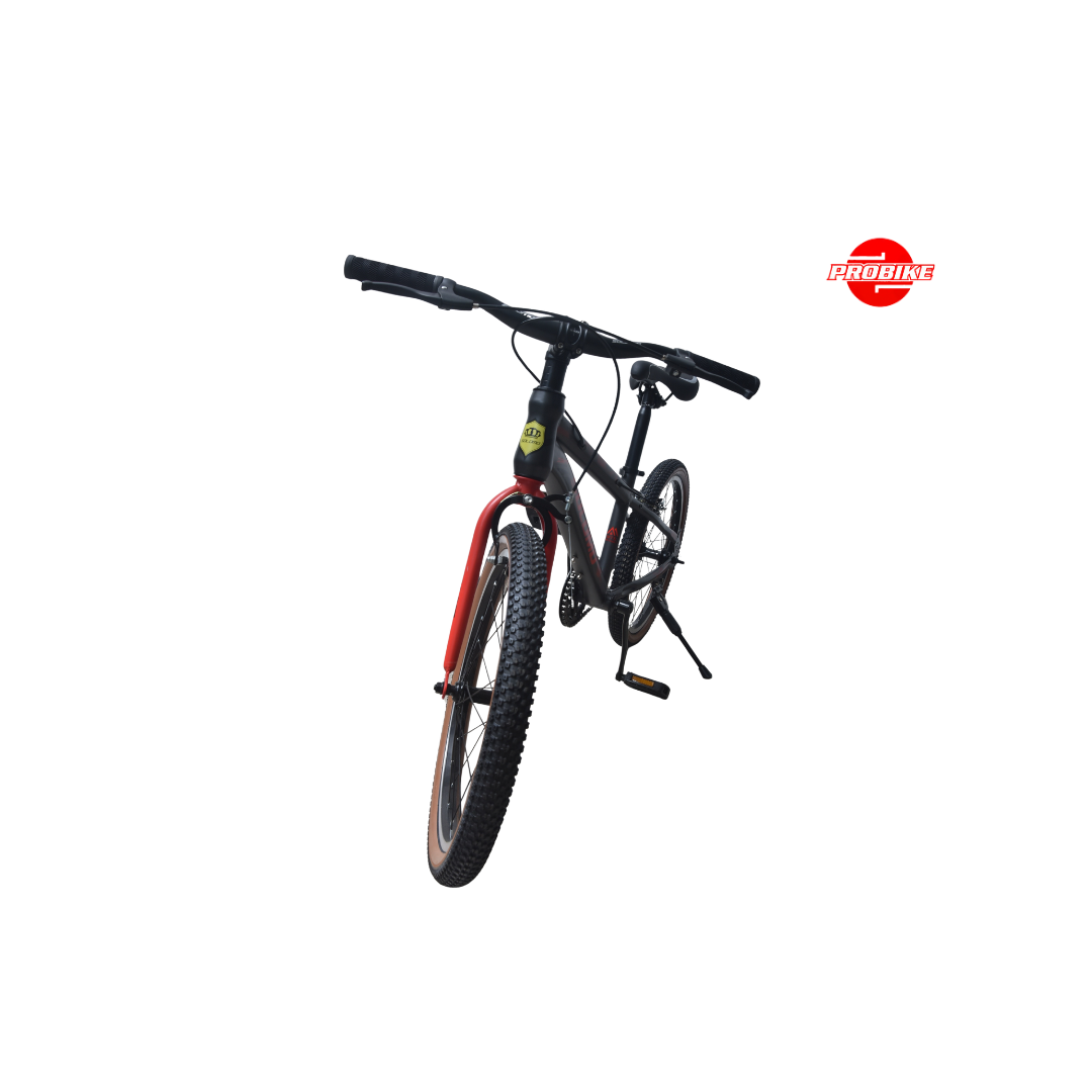 Solomo Bike – 20″