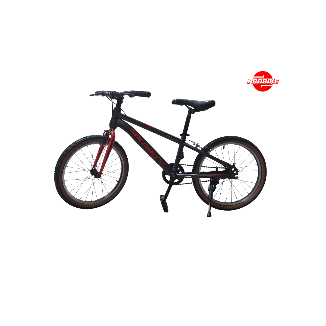 Solomo Bike – 20″