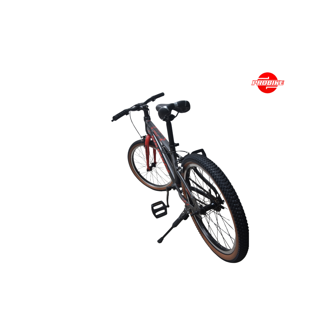 Solomo Bike – 20″