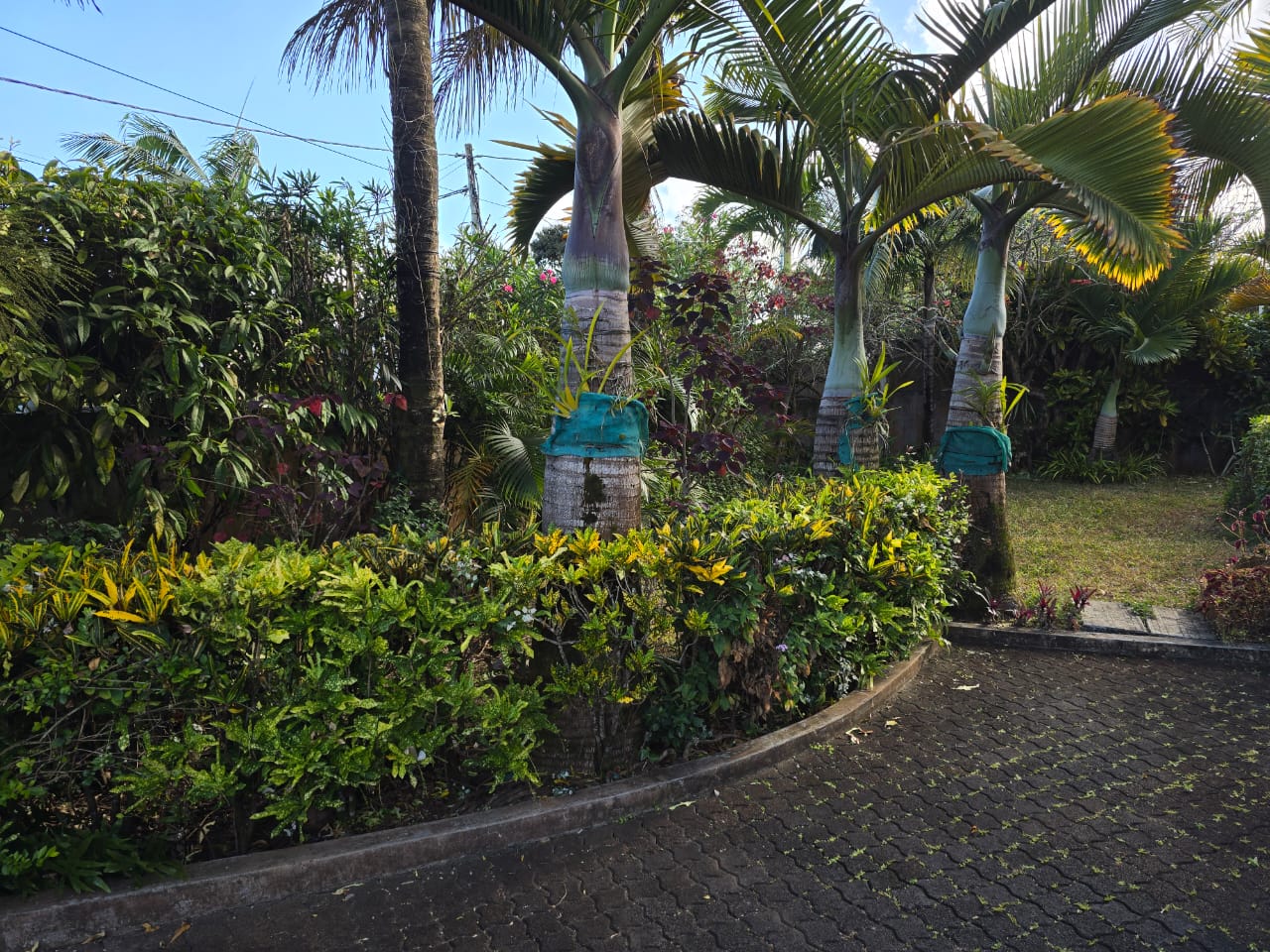 Spacious & Elegant Family Home🏡