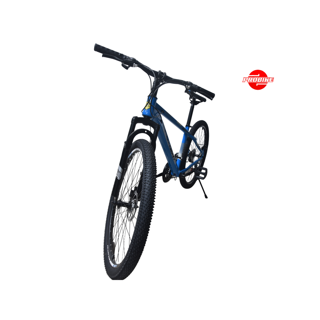 Solomo Bike – 24″