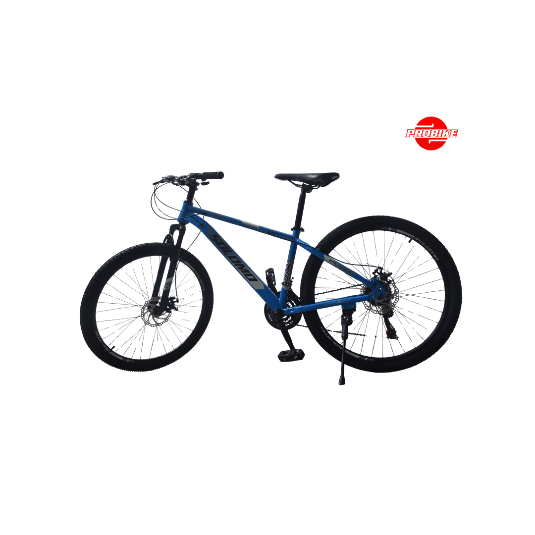 Solomo Bike – 24″