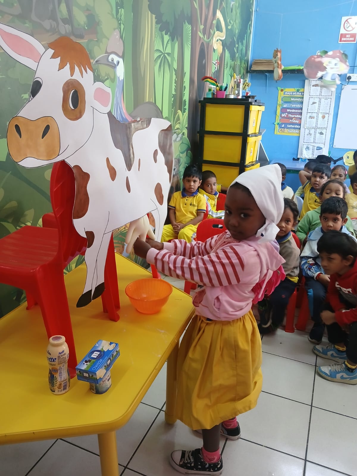 Super Nanny Pre-Primary School