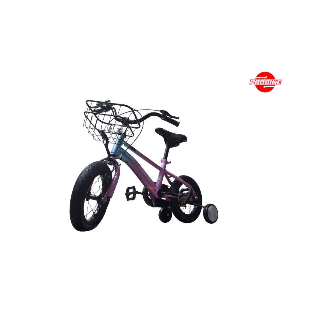 Duke Girl – Bike 12″
