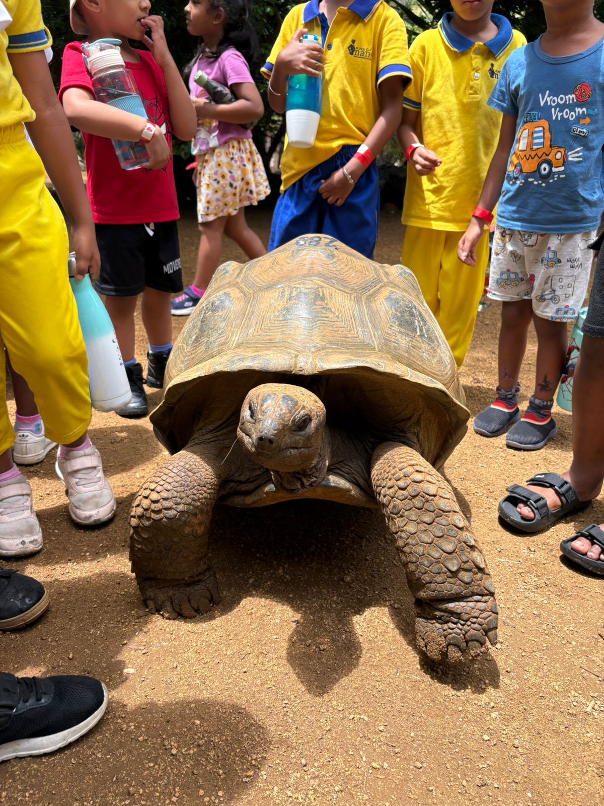 Super Nanny Pre-Primary School – Outing @ Crocodile Park