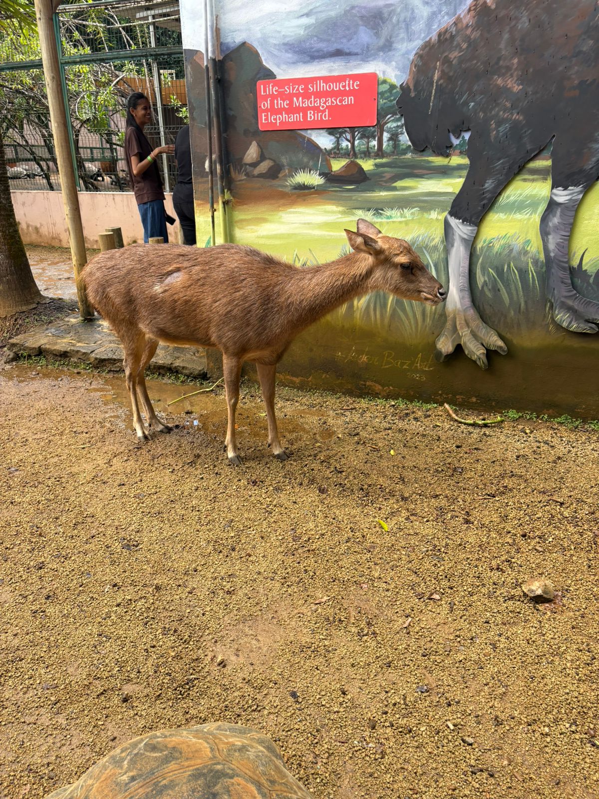 Super Nanny Pre-Primary School – Outing @ Crocodile Park