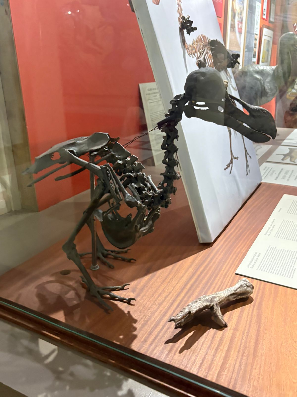 Super Nanny Pre-Primary School – Outing @ Crocodile Park