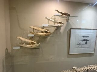 9e13a245-3464-4ffd-8a5b-c8eb6b559cc6