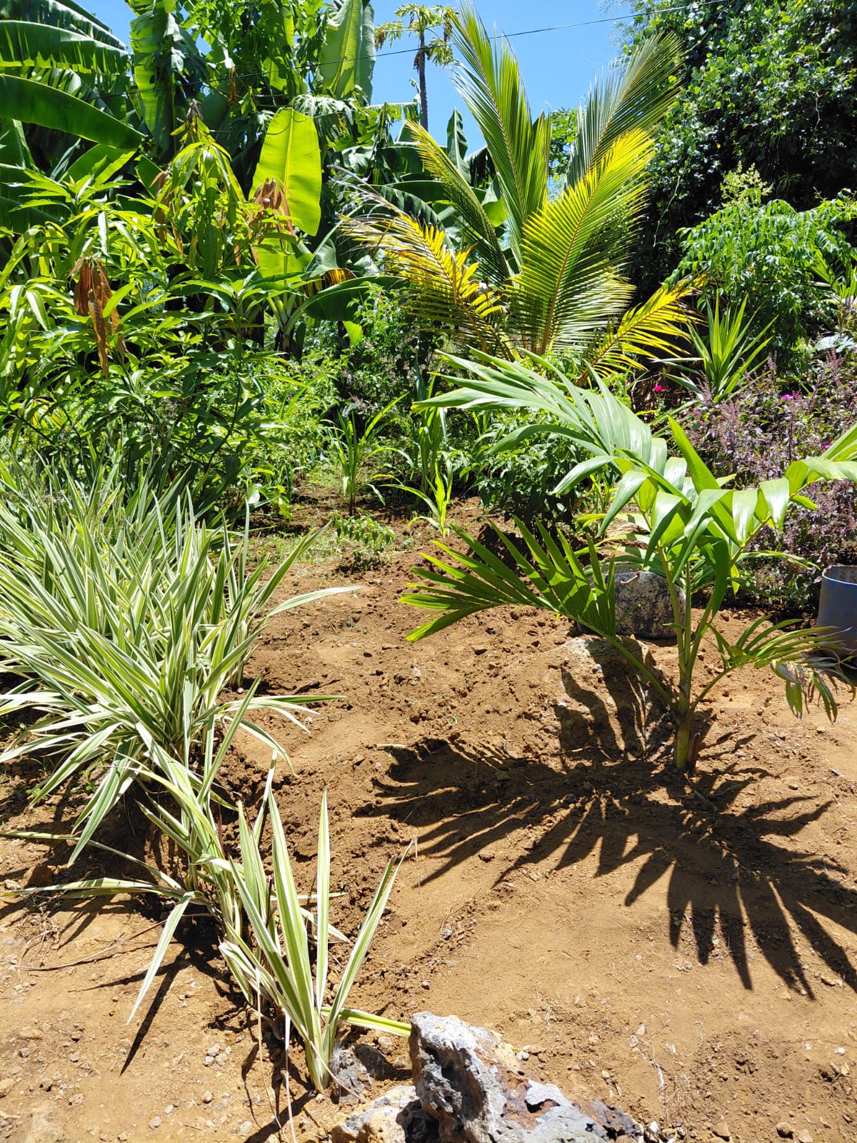 FOR SALE – Family Home