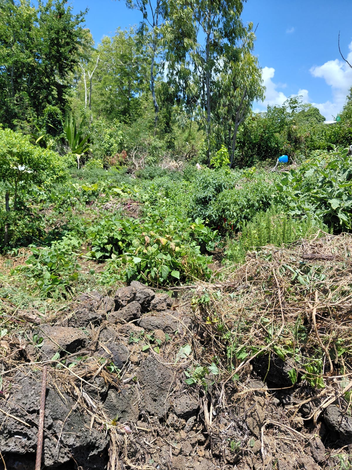 FOR SALE – Family Home