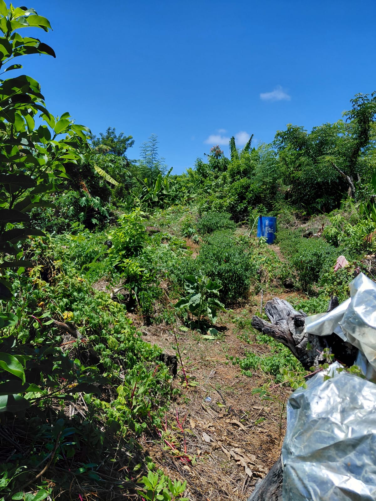 FOR SALE – Family Home