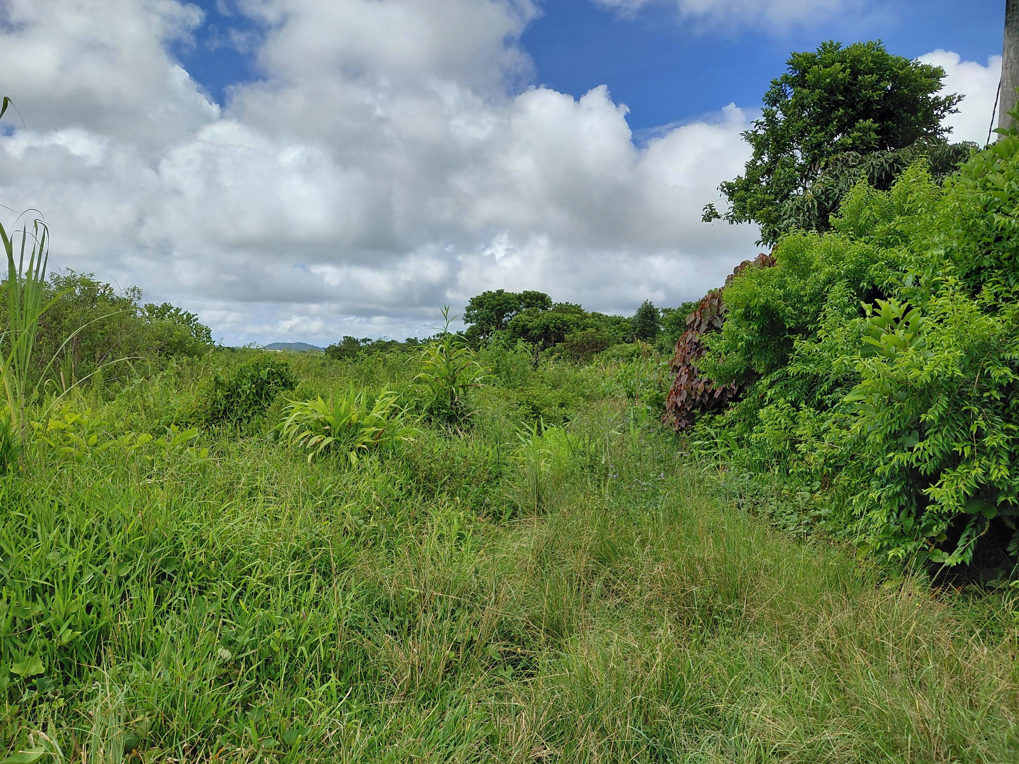 LAND FOR SALE – Providence, Quartier Militaire