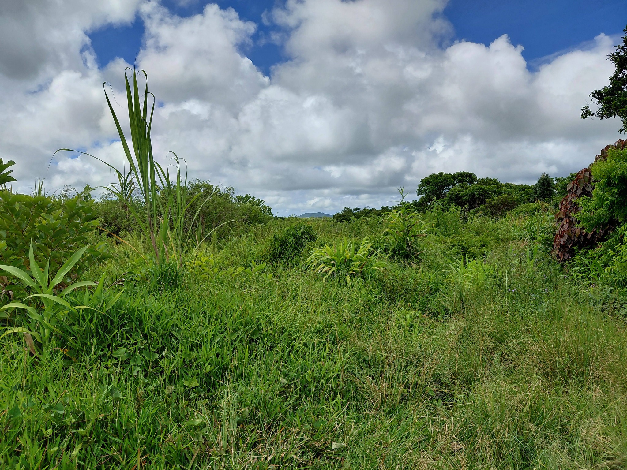 LAND FOR SALE – Providence, Quartier Militaire