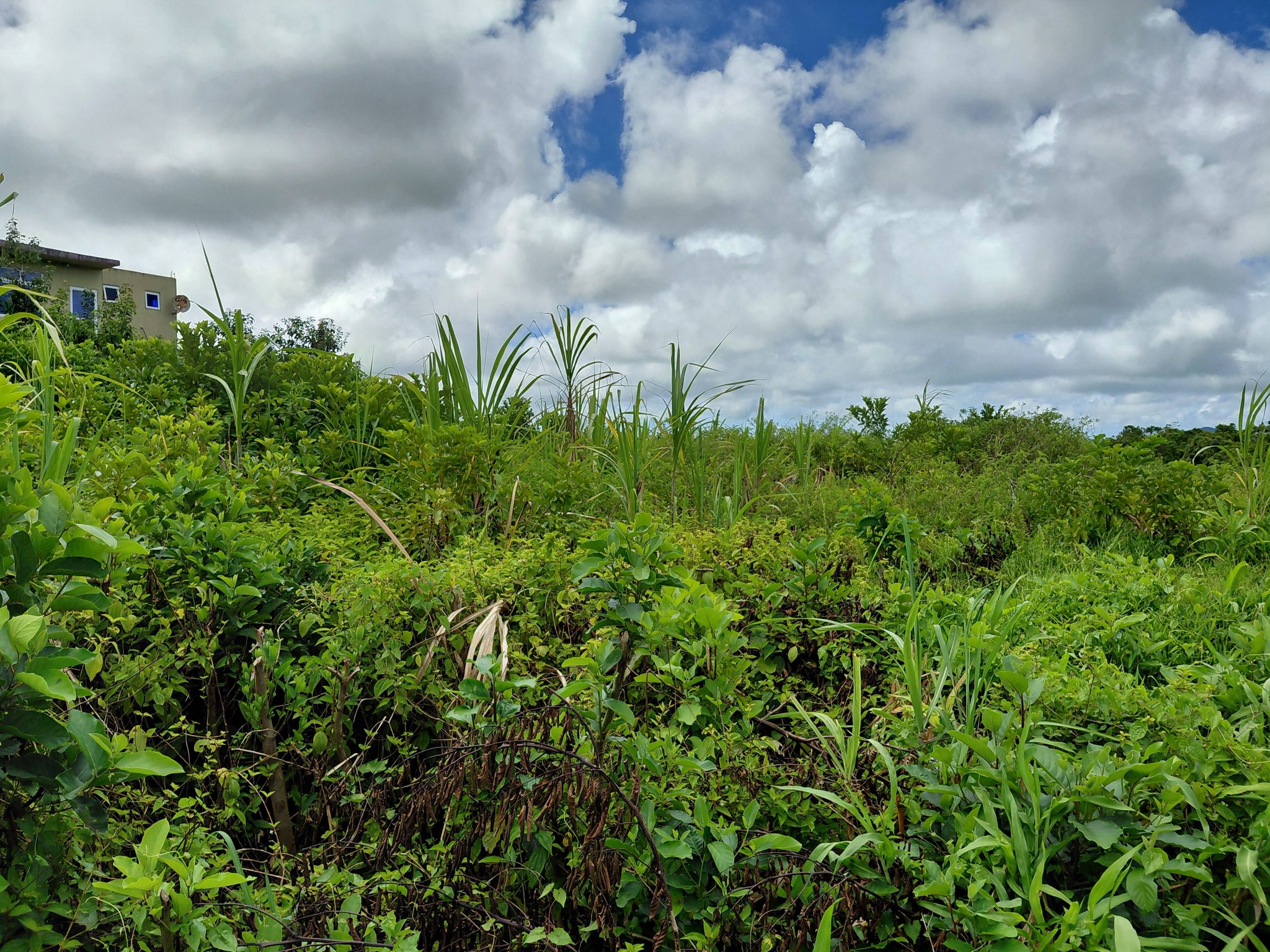 LAND FOR SALE – Providence, Quartier Militaire