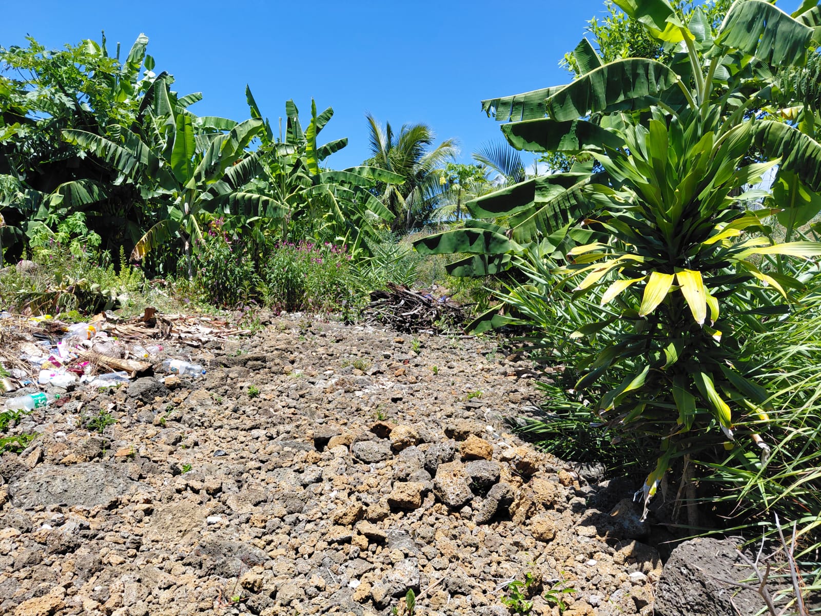 FOR SALE – Family Home