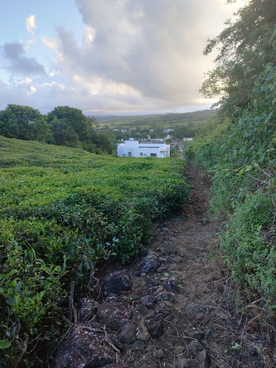 Agriculture land for sale
