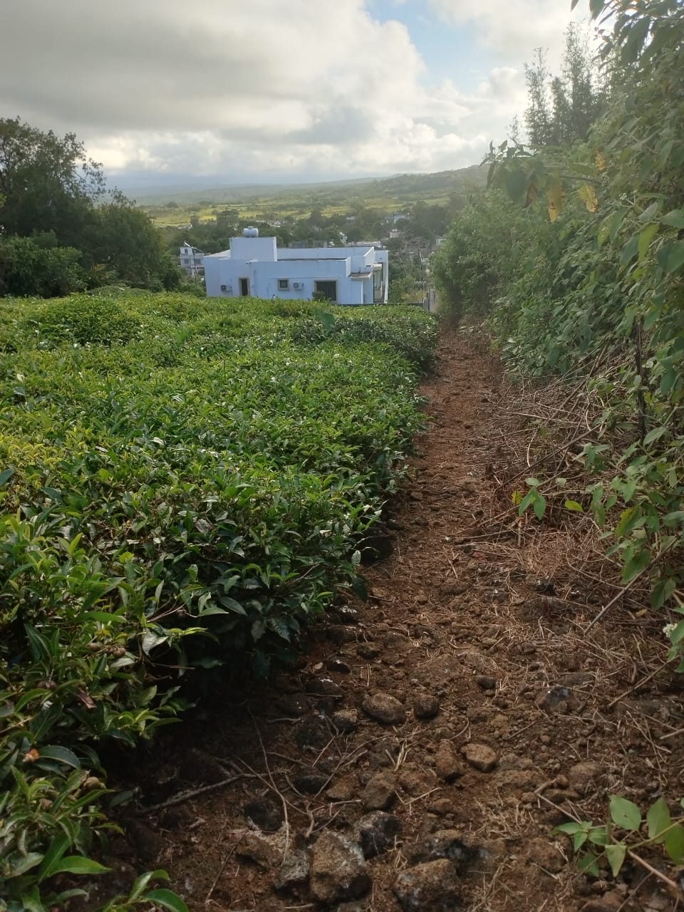 Agriculture land for sale
