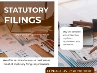 Statutory-Filings