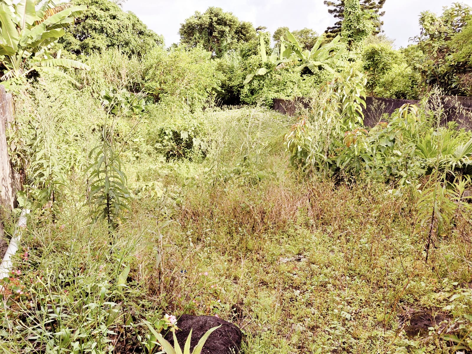 À Vendre petite maison située à Quartier Militaire
