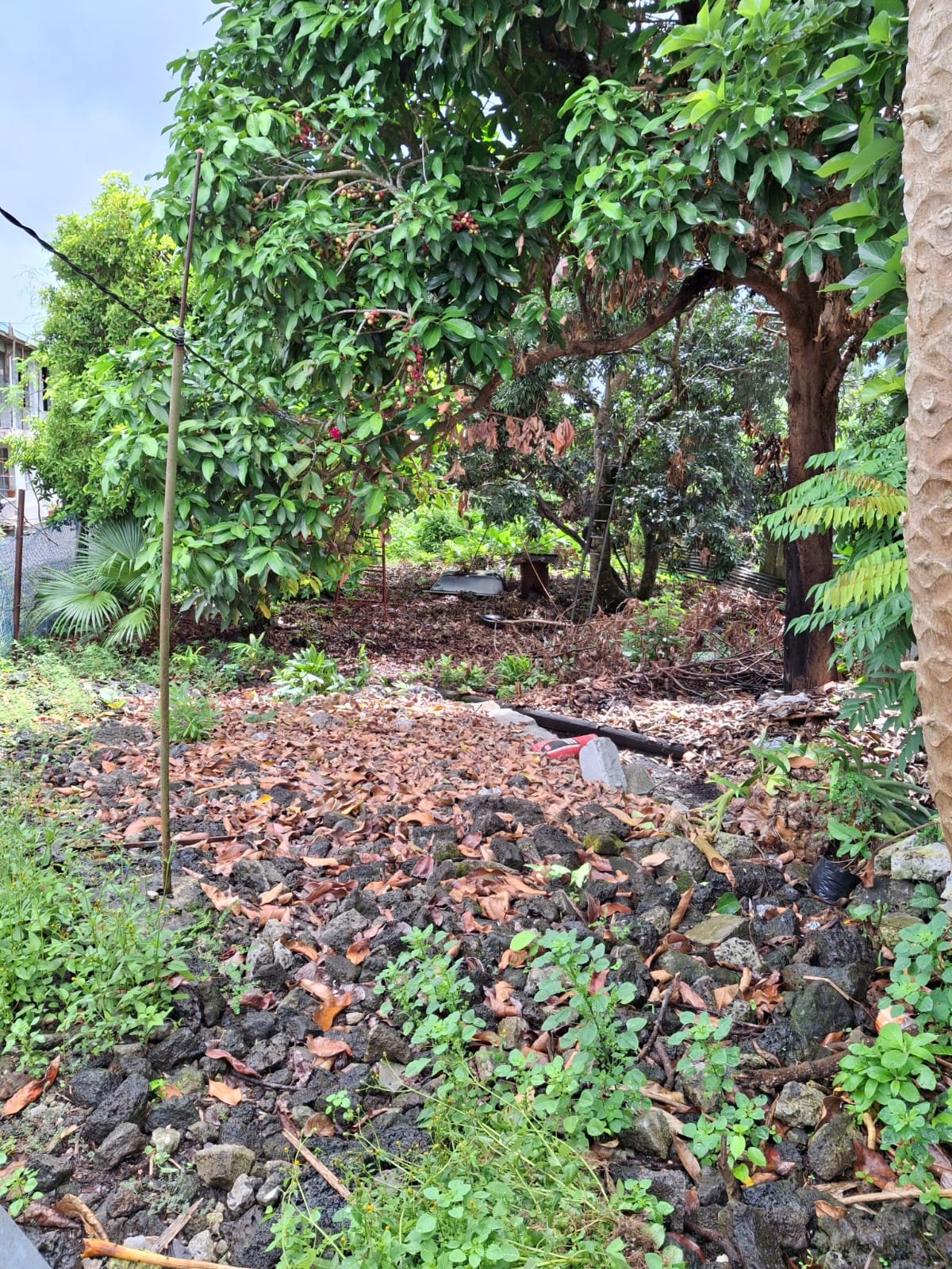 House for Sale – Lalmatie