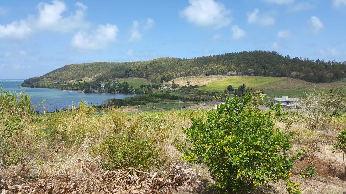 Agricultural Land for Sale – Petit Sable
