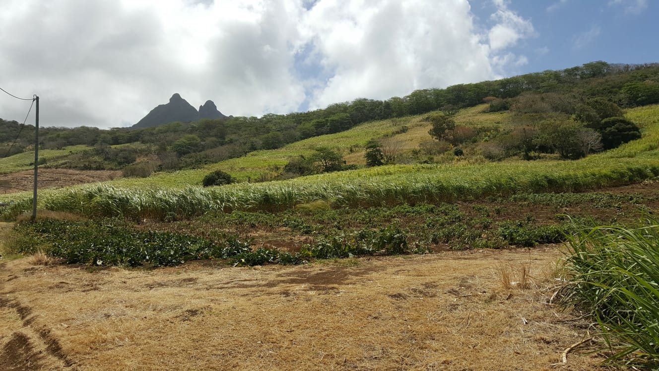 Agricultural Land for Sale – Petit Sable