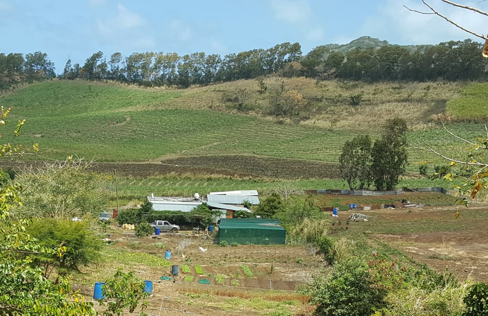 Agricultural Land for Sale – Petit Sable