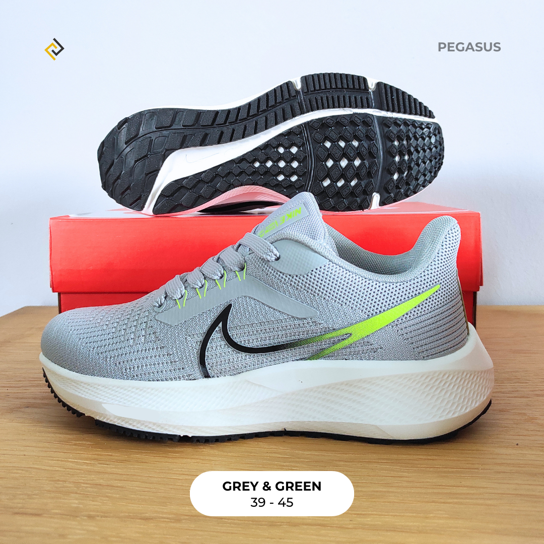 NIKE ZOOM X and NIKE PEGASUS