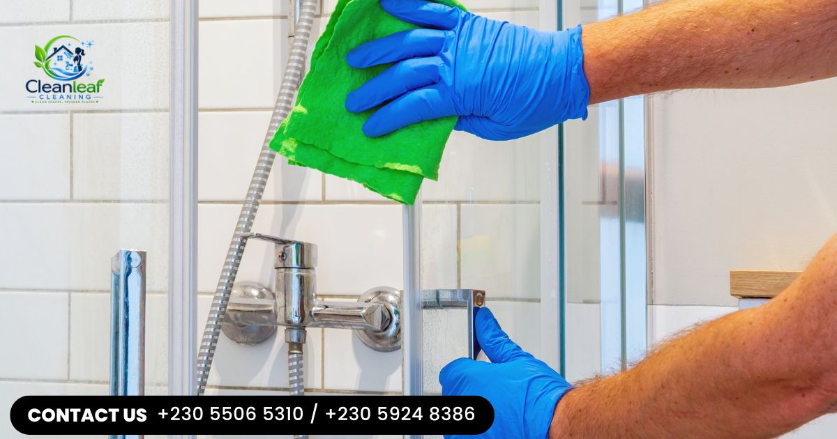 Professional Cleaning Services in Mauritius
