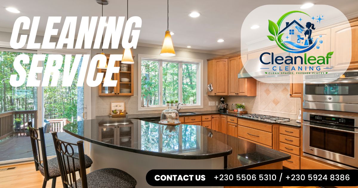 Professional Cleaning Services in Mauritius