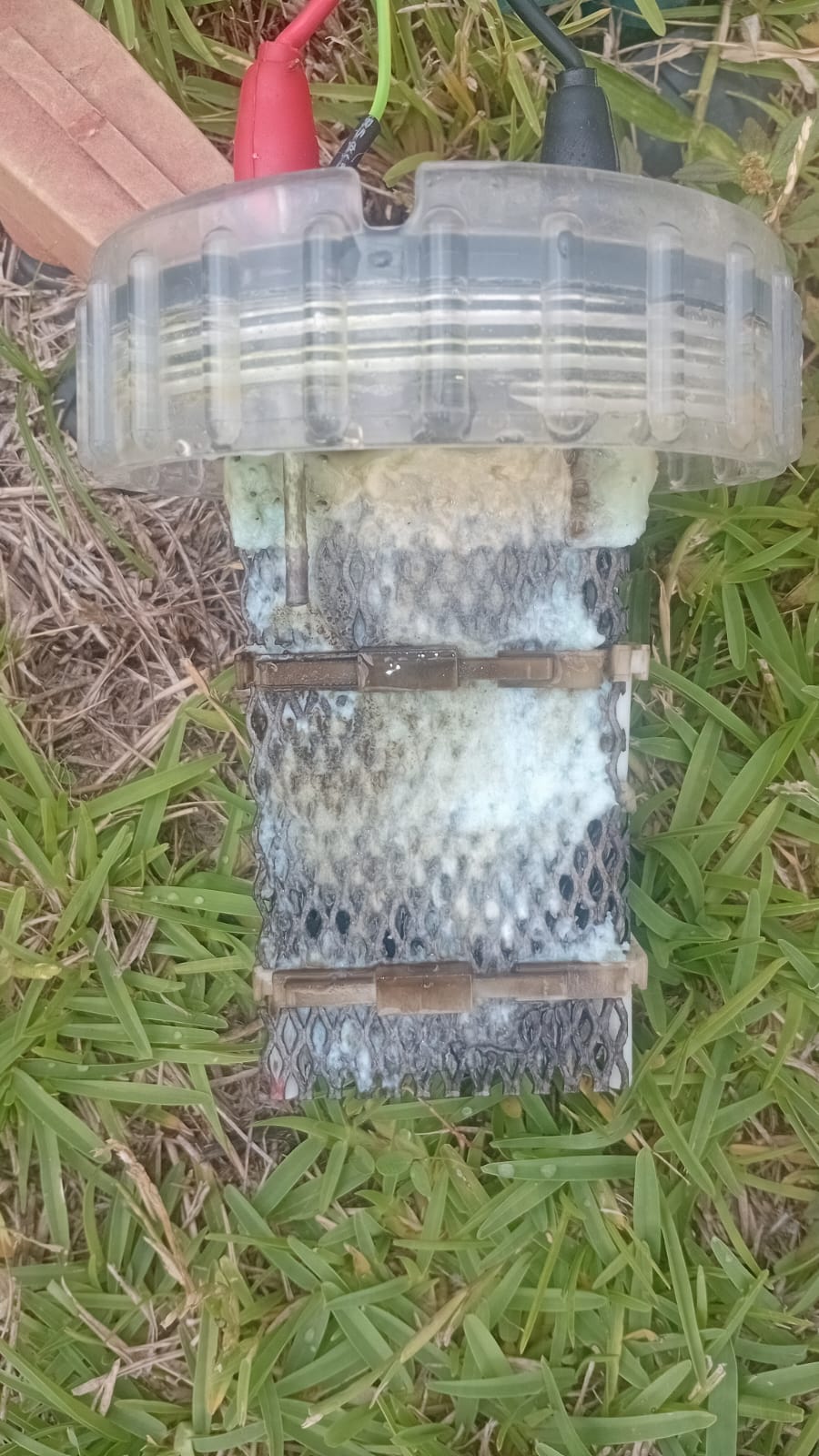 Nettoyage de Cellule du Chlorinateur à Pereybère – David Pool Services