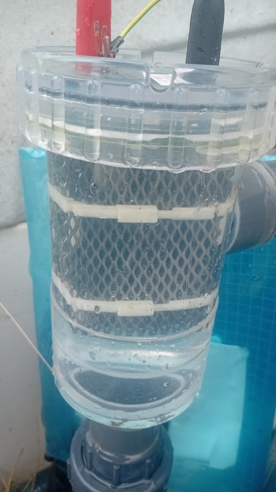 Nettoyage de Cellule du Chlorinateur à Pereybère – David Pool Services
