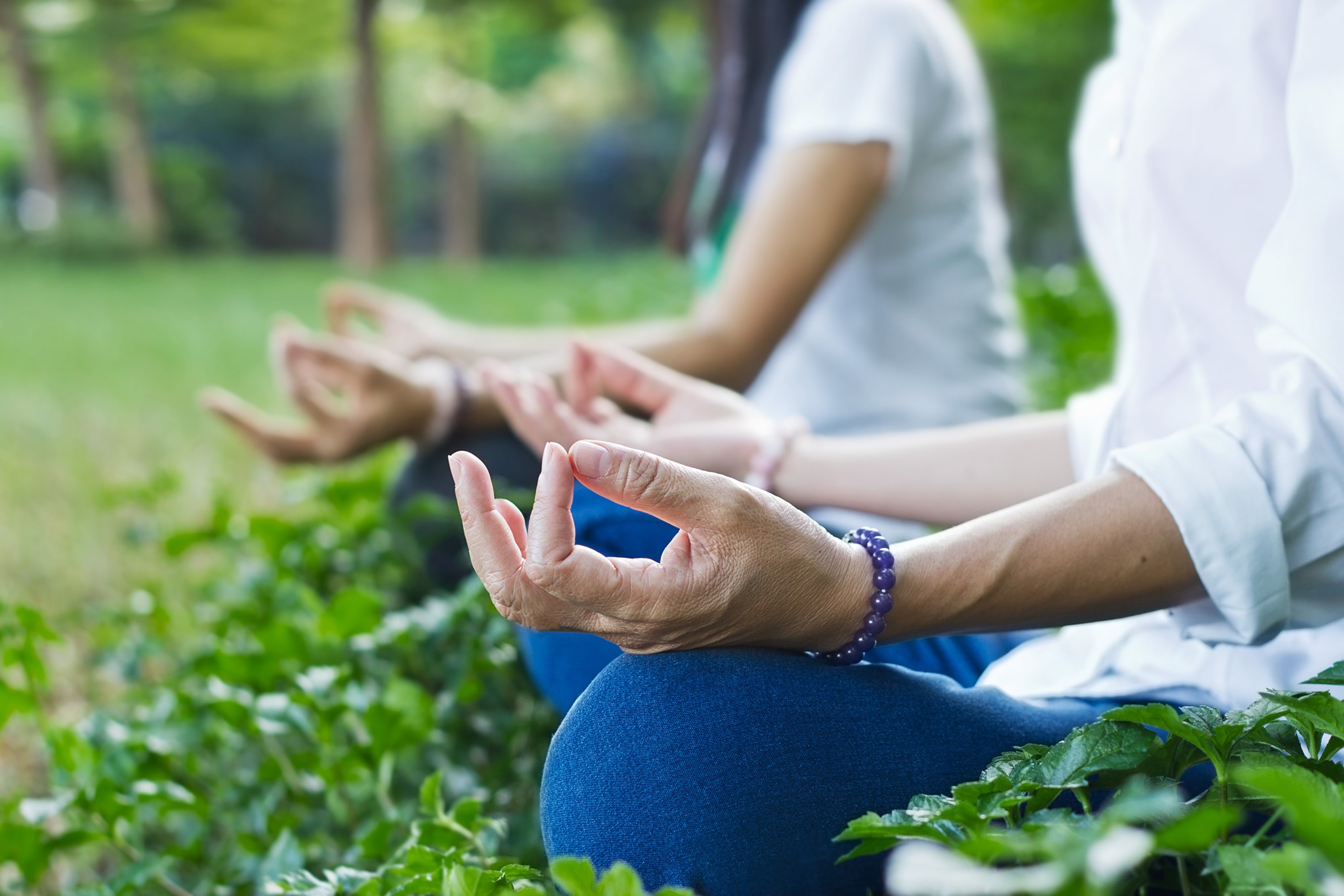 A Sanctuary for Rest, Mindfulness and Renewal Mauritius