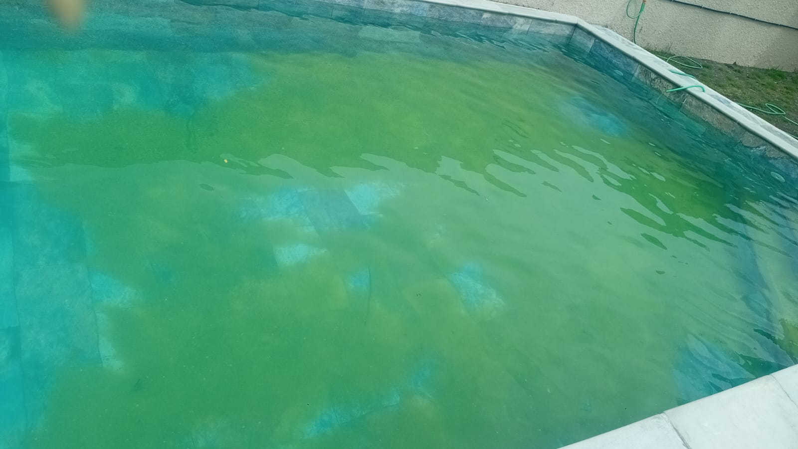Redressement rapide de l’eau de piscine en 2 jours – Bain Bœuf, Pereybère
