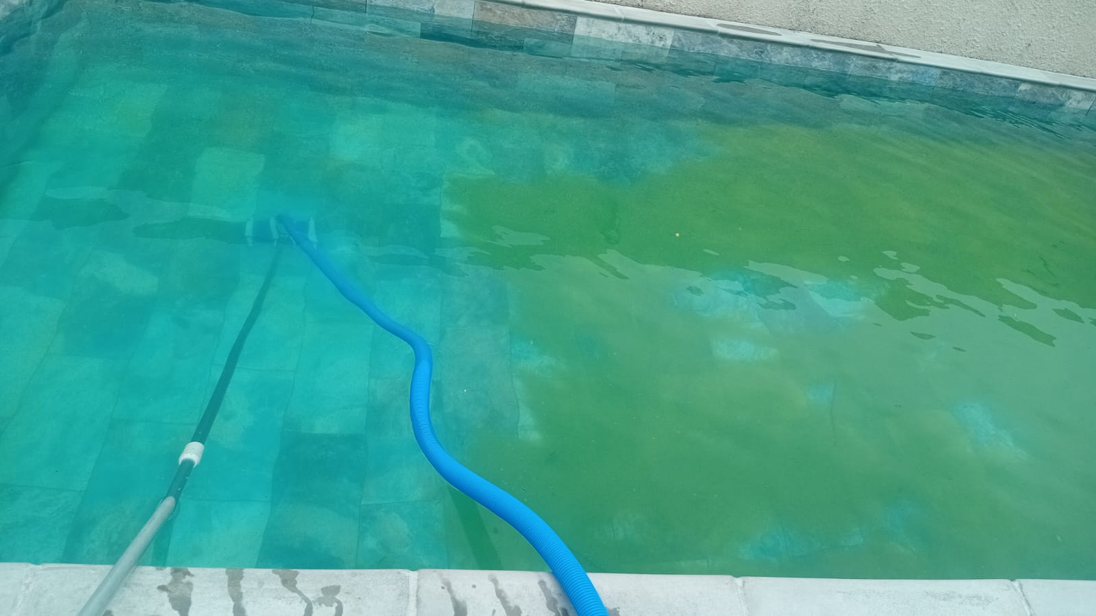 Redressement rapide de l’eau de piscine en 2 jours – Bain Bœuf, Pereybère